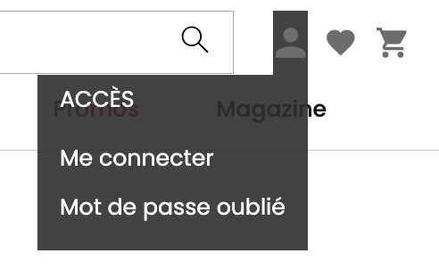 Capture d’écran 2024-03-22 à 15.53.17.png